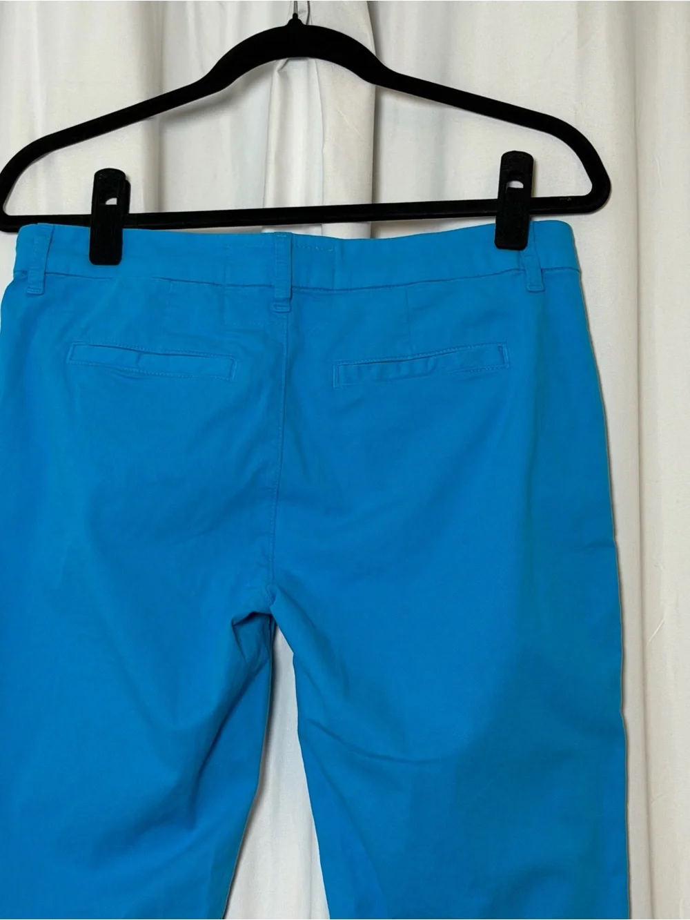 Frank & Eileen Wicklow Pants 4 Aqua Blue Raw Hem Cotton Stretch Chino Ankle